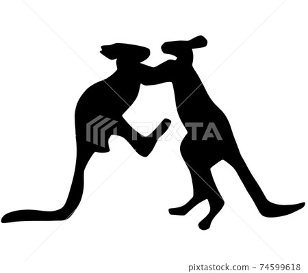 袋鼠戰鬥的剪影 74599618