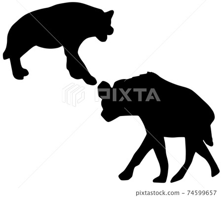 鬣狗剪影瞄準獵物 74599657