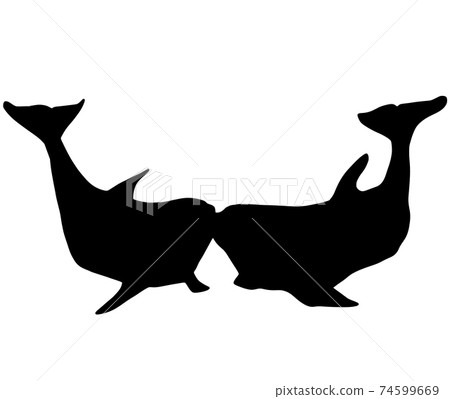 Kissing killer whale silhouette 74599669