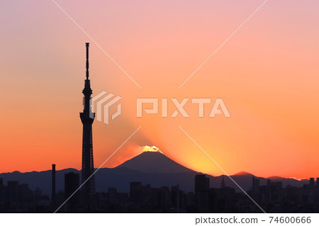 東京晴空塔特別照明 74600666