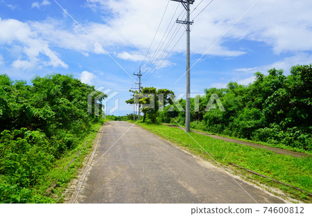 我想在藍天下騎自行車綠樹環繞的道路 74600812