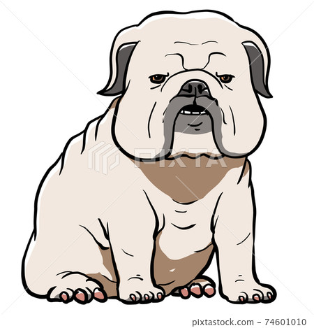 Illustration of a bulldog sitting 74601010