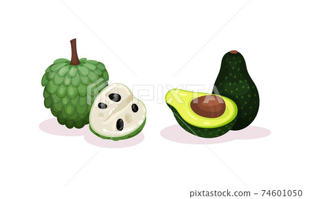 Ripe Exotic Fruits with Sugar Apple and Avocado Vector Set 74601050