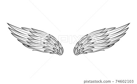 Vintage heraldic wings sketch. Doodle stylized birds wings. Hand drawn contoured stiker wing in open position. Design elements in coloring style Vintage heraldic wings sketch. Doodle stylized birds wings. Hand drawn contoured stiker wing in open position. Design elements in coloring style 74602103