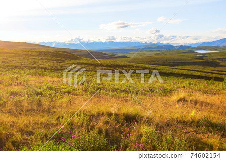 Mountains in Alaska 74602154