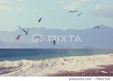 Costa Rica coast 74602160