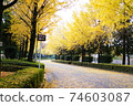 Ginkgo aki 74603087