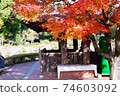 Autumn leaves and rest 74603092