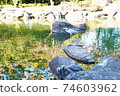 A shrine 74603962