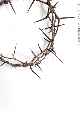 Crown of thorns Jesus Christ isolaten on white. Copy space Crown of thorns Jesus Christ isolaten on white. Copy space 74605091