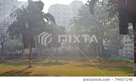 公寓中的公園,朝陽照耀 公寓中的公園,朝陽照耀 74607146