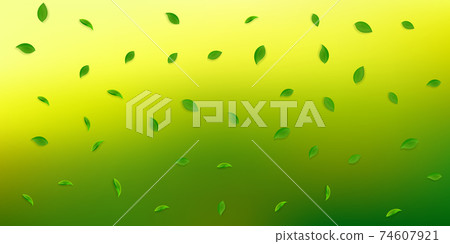 Falling green leaves. Fresh tea random leaves flyi 74607921