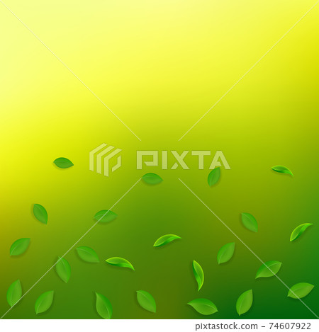 Falling green leaves. Fresh tea random leaves flyi 74607922
