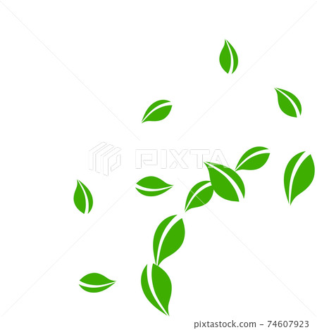 Falling green leaves. Fresh tea neat leaves flying 74607923