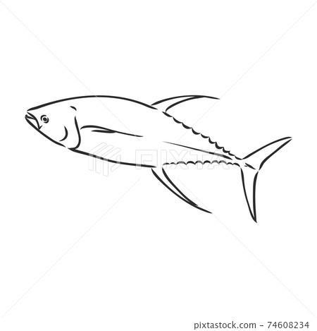 Tuna big fishing on white logo illustration. illustration can be