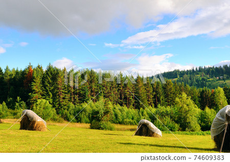 haystack on the grassy field in summer. traditional carpathian rural landscape in mountains. haystack on the grassy field in summer. traditional carpathian rural landscape in mountains. 74609383