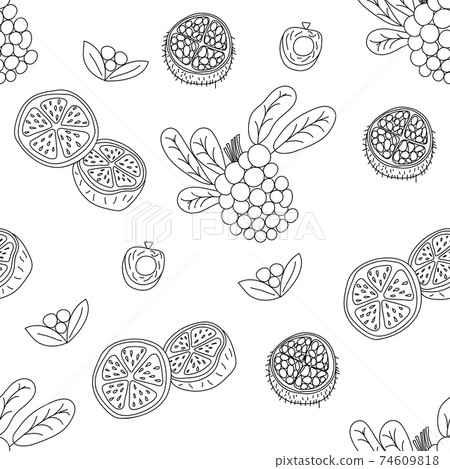 Tropical fruits line seamless pattern. Black and white botanical background. Vector illustration summer monoline 74609818