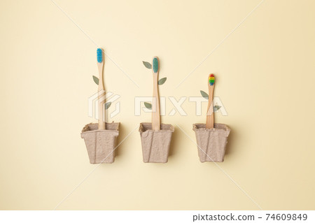 Three bamboo toothbrushes in pot with leaves on light, association with trees, plastic free 74609849