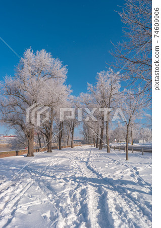Amazing view over Magdeburg historical downtown in Winter with icy trees and snow during sunrise in the morning with warm illumination, foggy river and blue sky, Germany. Amazing view over Magdeburg historical downtown in Winter with icy trees and snow during sunrise in the morning with warm illumination, foggy river and blue sky, Germany. 74609906