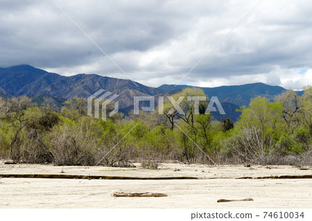 California Golden Poppy and Goldfields blooming in Walker Canyon, Lake Elsinore, CA. USA 74610034