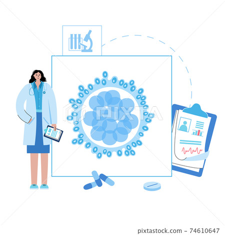 Morula anatomy concept Morula anatomy concept 74610647