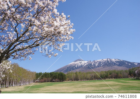 岩手縣春季森林和岩手山 74611808
