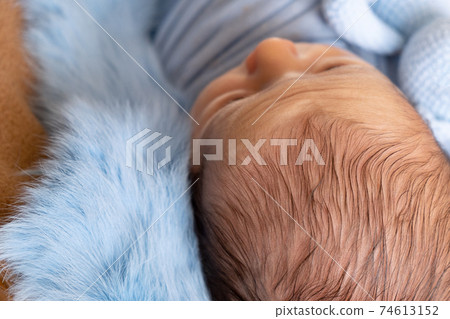 crown. head of the newborn baby first hear, close up, macro shot. newborn hair. 74613152