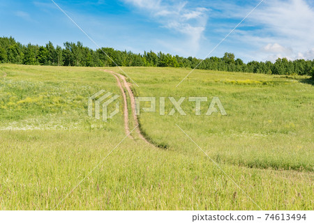 Field on slope of hill with forest on top and blue sky. Dirt road climbs up the hill. Summer countryside Field on slope of hill with forest on top and blue sky. Dirt road climbs up the hill. Summer countryside 74613494