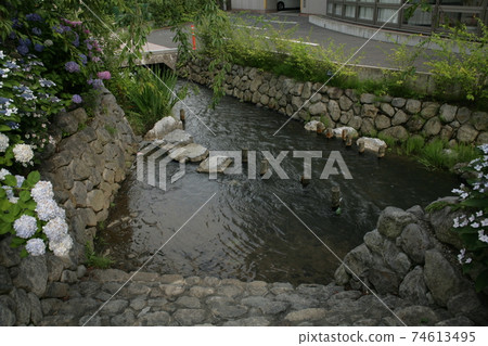 長野市南八ta河 74613495