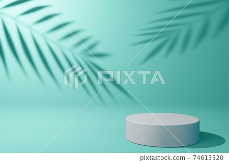 Empty display product presentation with shadow leaves, Empty showcase, 3d rendering. 74613520