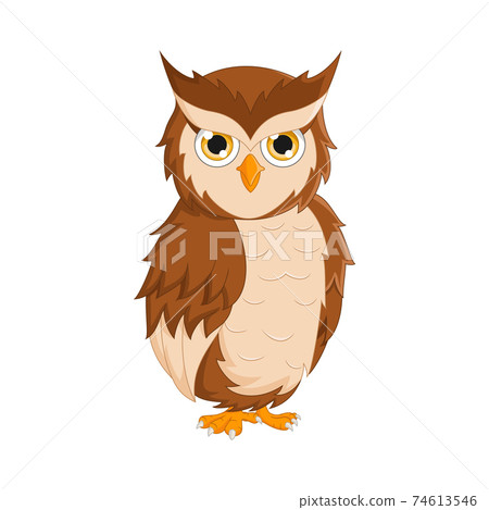 Cartoon cute owl isolated on white background 74613546