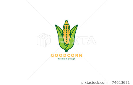 yellow corn with green leaf modern logo design vector icon symbol illustration 74613651