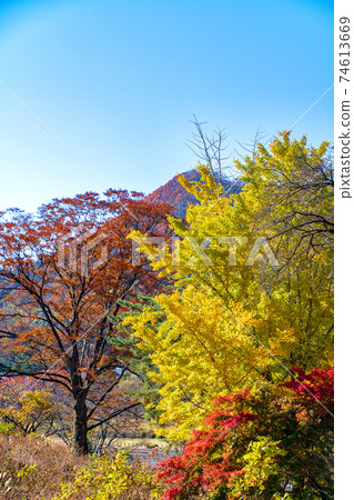 Autumn leaves hunting, autumn scenery, from the vicinity of Suwakyo Seiryu Park Autumn leaves hunting, autumn scenery, from the vicinity of Suwakyo Seiryu Park 74613669