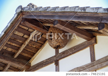 蜂窩蜂窩 蜂窩蜂窩 74615191