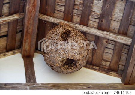 Honeycomb honeycomb Honeycomb honeycomb 74615192