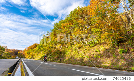 Bamdaisan Gold Line Autumn Leaves Bike Rider Bamdaisan Gold Line Autumn Leaves Bike Rider 74615456