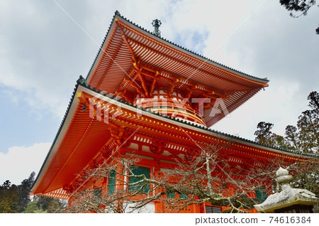高野山/ Danjo Gaya的“根塔”（和歌山縣伊東郡高野市山高野寺，高野山/高野山） 74616384