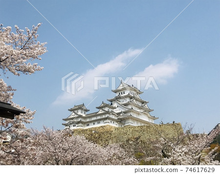 Himeji Castle, cherry blossoms and clouds Himeji Castle, cherry blossoms and clouds 74617629