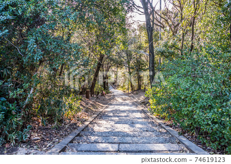 Stone stairs in the forest Arayama Park Tajihayahime Shrine Stone stairs in the forest Arayama Park Tajihayahime Shrine 74619123