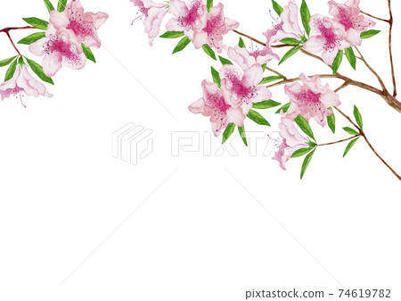 Azalea spring background frame watercolor illustration 74619782
