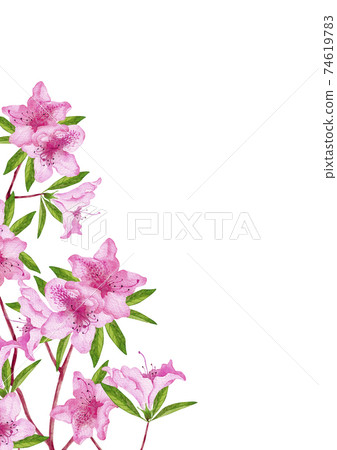 杜鵑花春天背景框架垂直位置水彩插圖 杜鵑花春天背景框架垂直位置水彩插圖 74619783