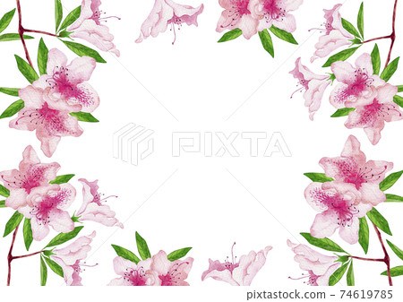 Azalea spring background frame watercolor illustration Azalea spring background frame watercolor illustration 74619785