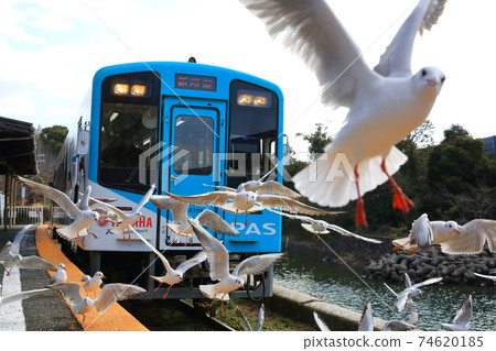 黑頭鷗和鐵路 黑頭鷗和鐵路 74620185