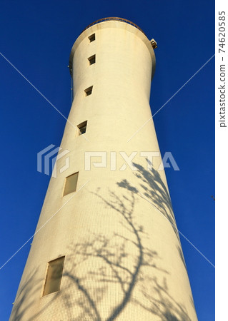 Lighthouse that captures the trees 74620585