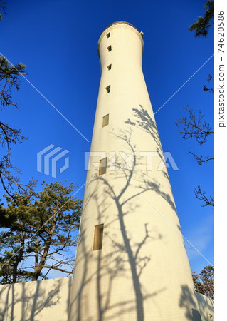 Lighthouse that captures the trees 74620586