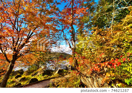 Autumn leaves Lake Shirakaba 74621287