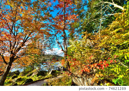 Autumn leaves Lake Shirakaba 74621289