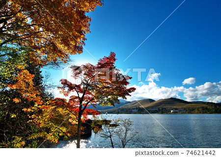 Autumn leaves Lake Shirakaba Autumn leaves Lake Shirakaba 74621442