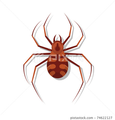 Spider vector design illustration isolated on white background 74622127