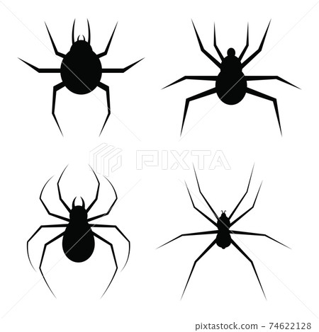Spider vector design illustration isolated on white background 74622128